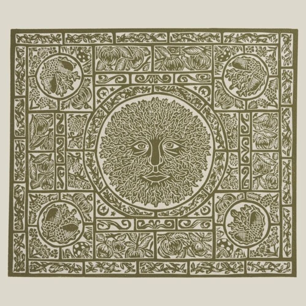 Fuzzy Lights - Fen Creatures  LP LP